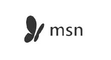 M S N logo